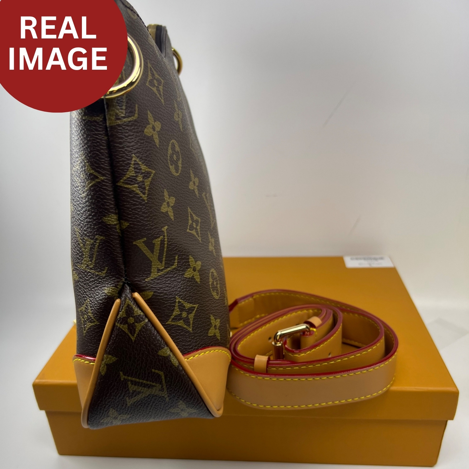 L0vis Vvtt0n Odeon PM Monogram Canvas Brown For Women 10.2in/26cm M45354