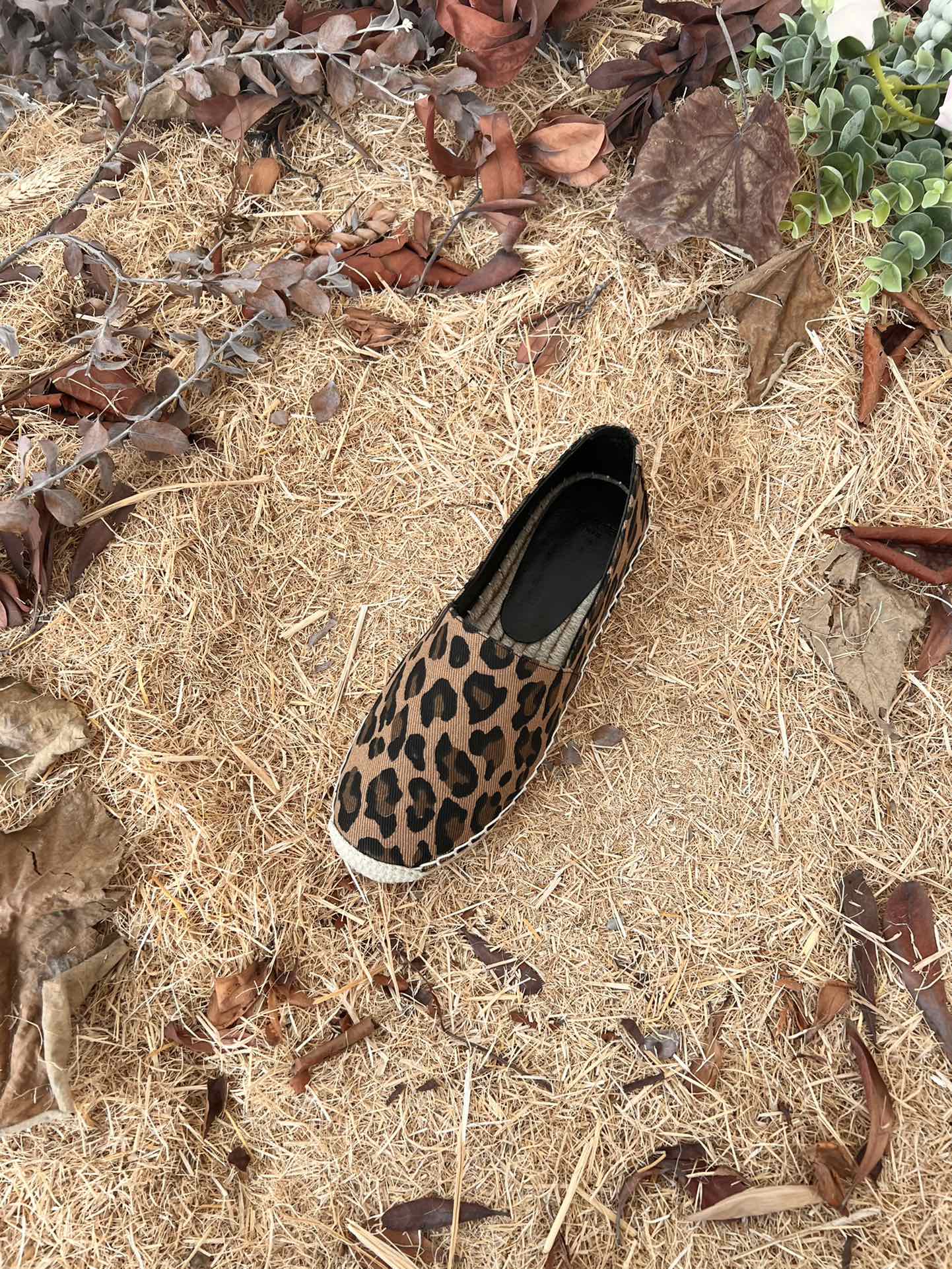 Sa1nt Lau*nt Women’s Y51 Embroidered Espadrilles Brown For Women Y51