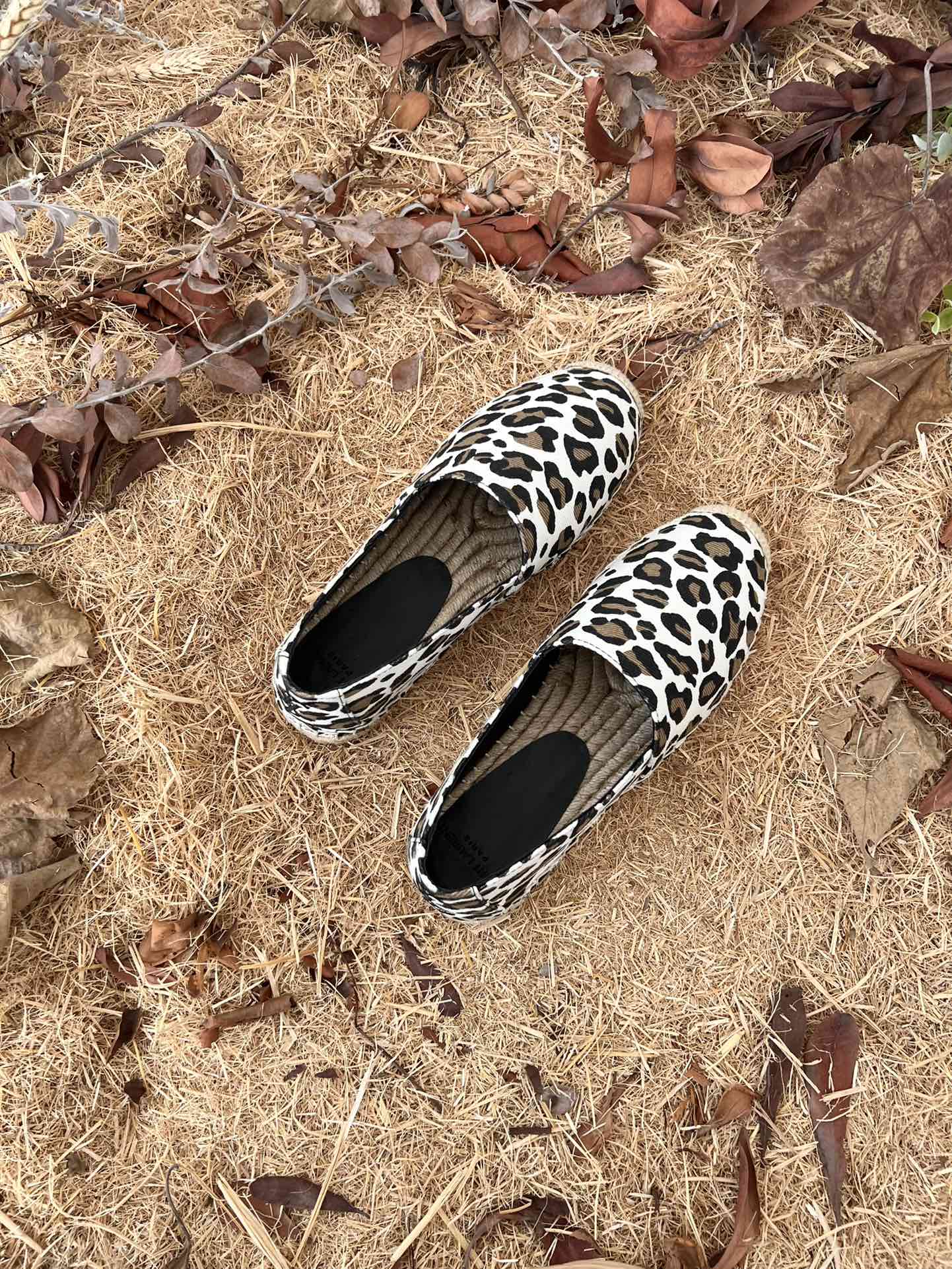 Sa1nt Lau*nt Women’s Y51 Embroidered Espadrilles White For Women Y51